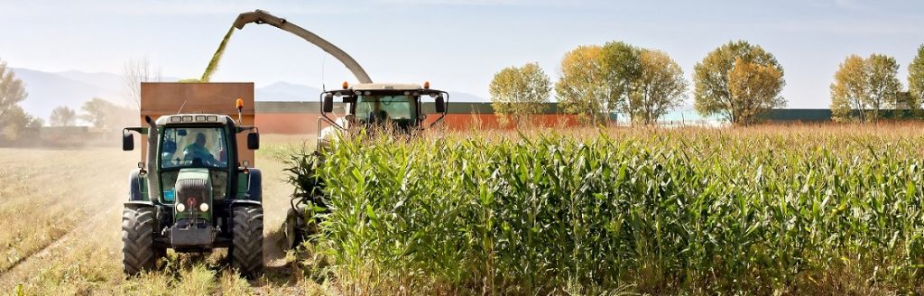 GESTÃO EM AGRONEGÓCIOS